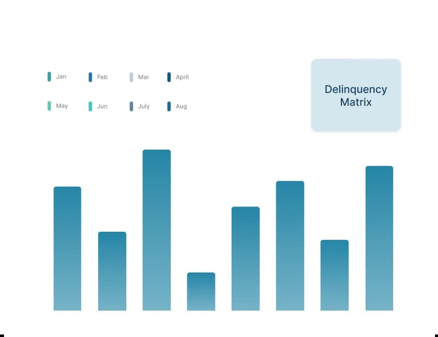 Delinquency Matrix